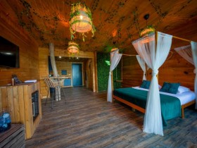 Unusual JUNGLE - Camera