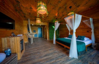 Unusual JUNGLE - Camera