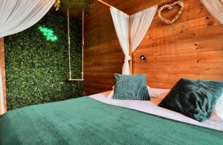 Unusual JUNGLE - Camera