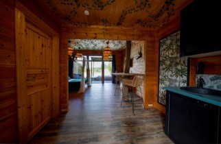 Unusual JUNGLE - Camera