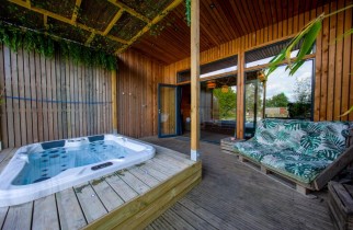 Unusual JUNGLE - Camera